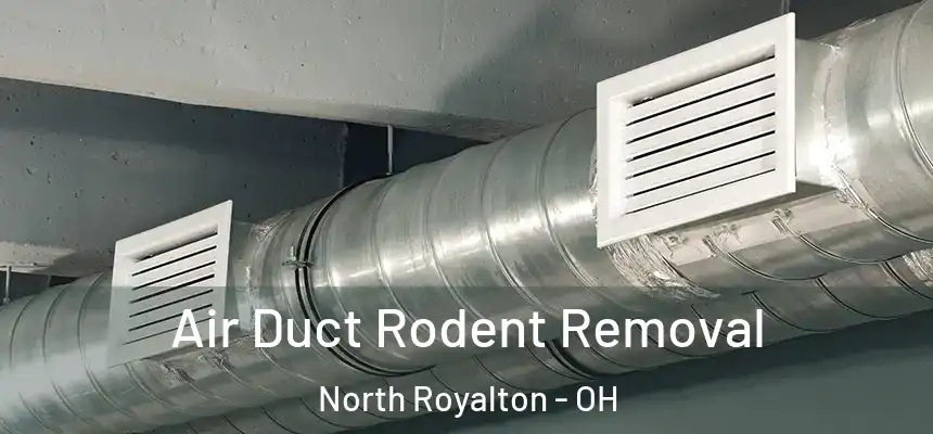 Air Duct Rodent Removal North Royalton - OH