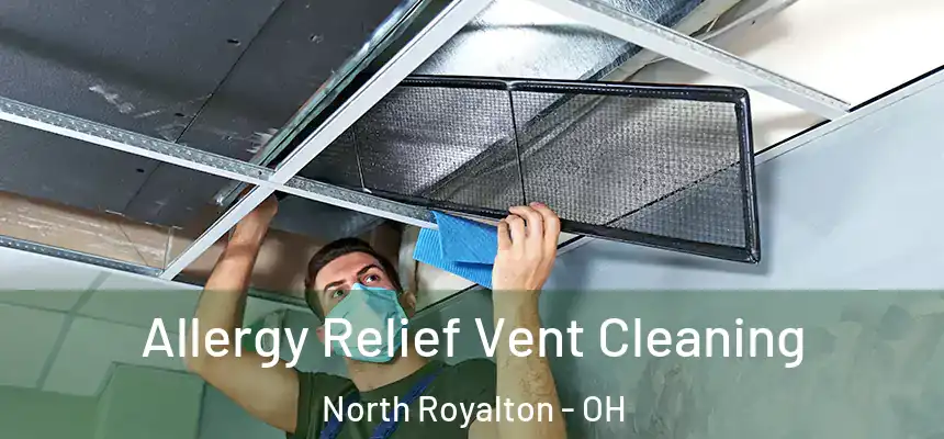 Allergy Relief Vent Cleaning North Royalton - OH