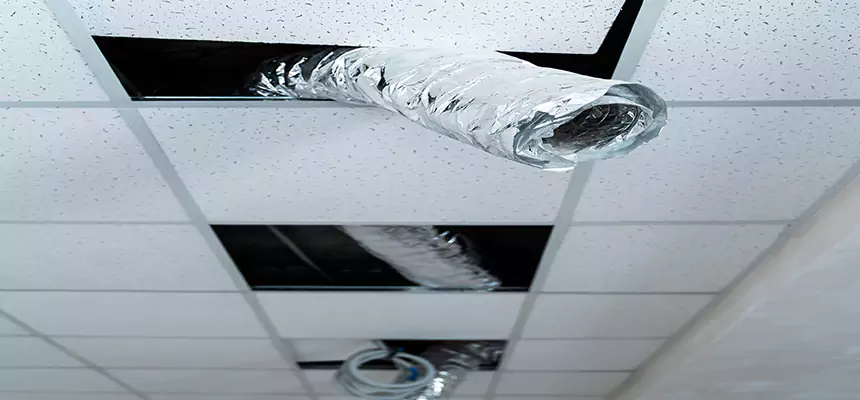 Our Air Duct Pet Hair Removal Services in North Royalton, OH