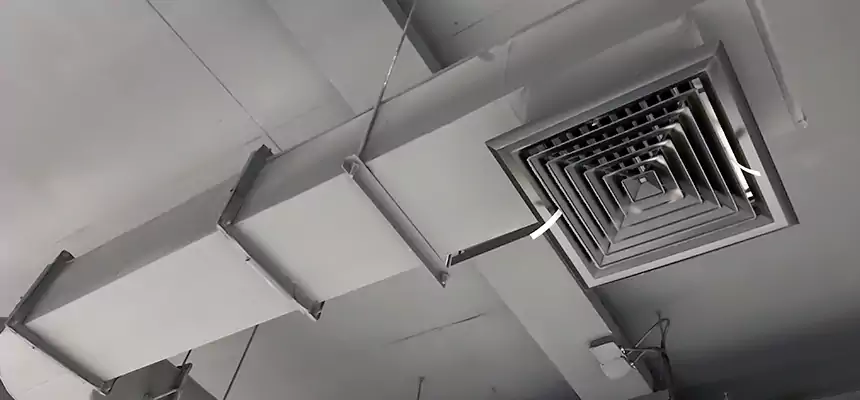 Our Pest Removal From Ducts Services in North Royalton, OH