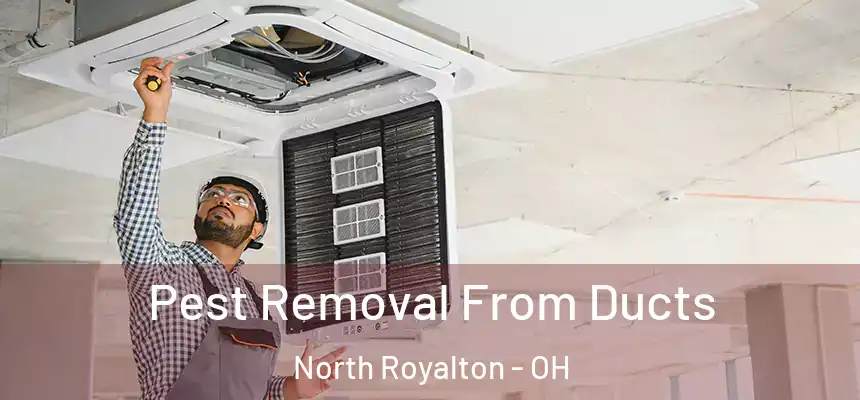 Pest Removal From Ducts North Royalton - OH