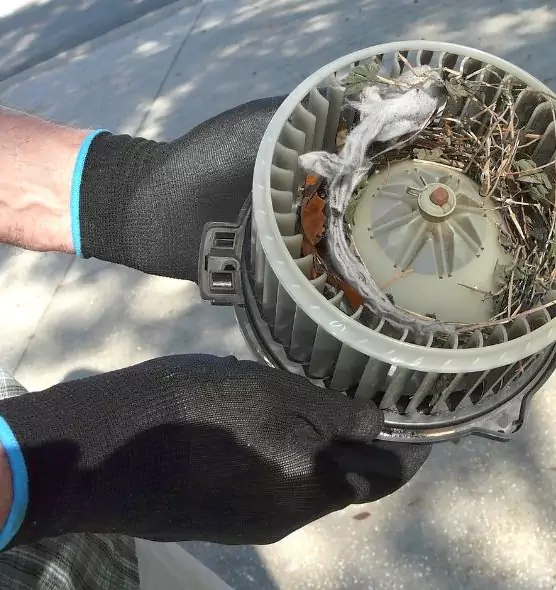 About Air Duct Mice Removal in North Royalton, OH