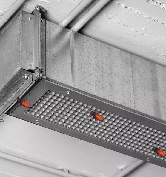 Affordable Insect Removal from Air Ducts in North Royalton, OH