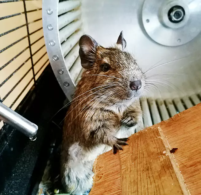 Why Homeowners & Businesses Trust Us North Royalton, OH?